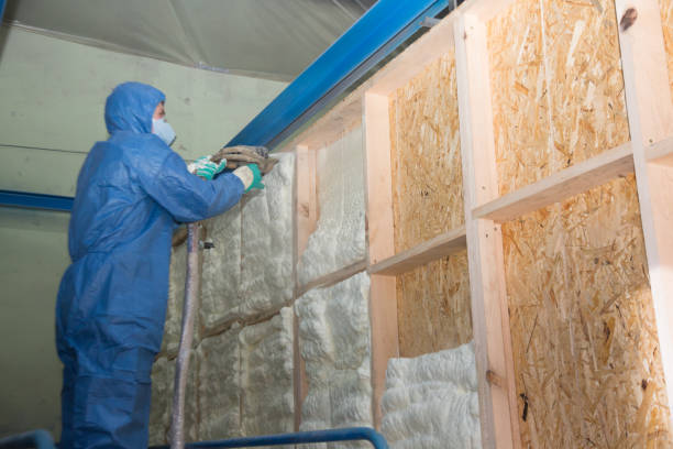 Best Crawl Space Insulation  in Mountain Park, GA